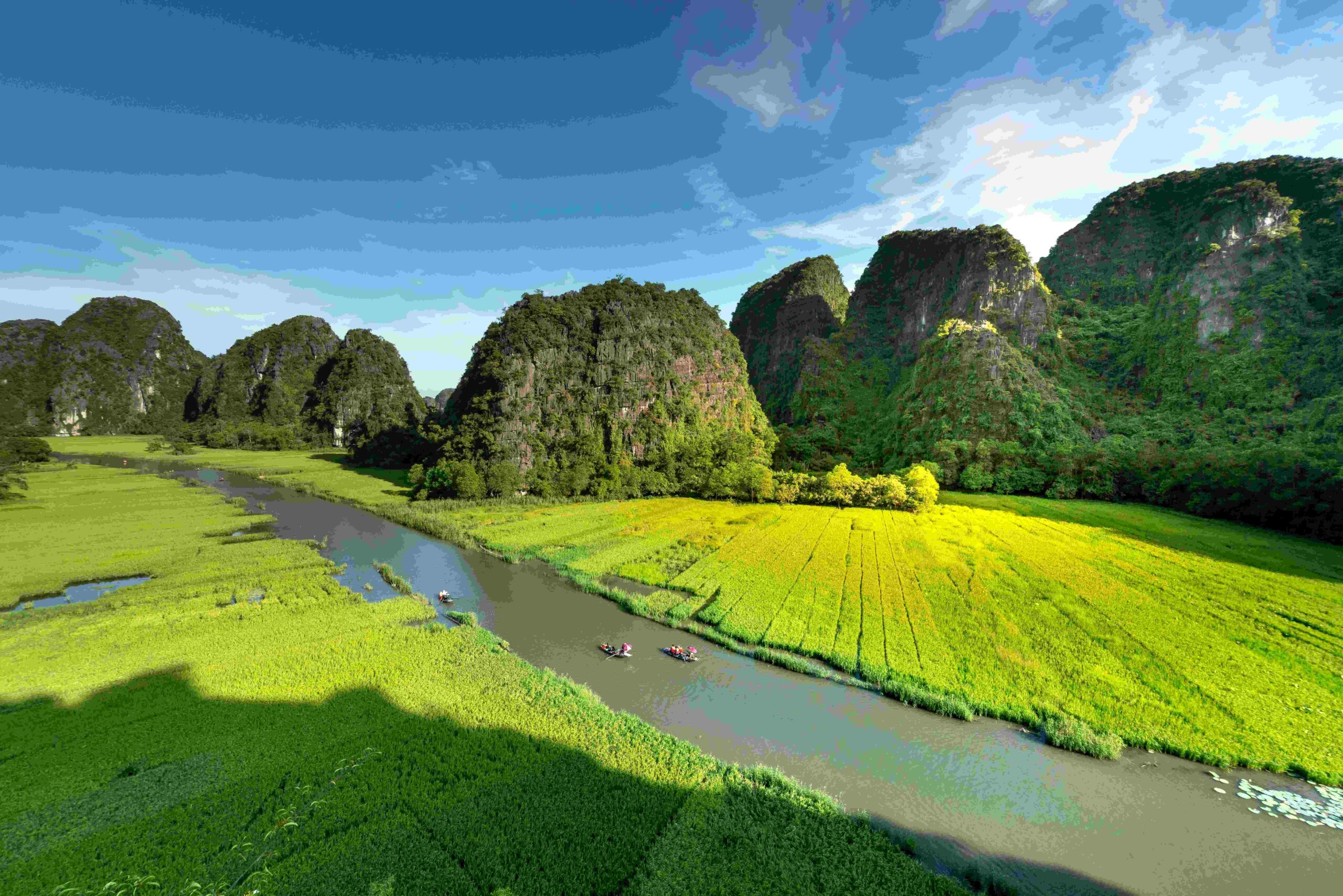 RBOs Vietnam